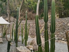 -MOJ coffee(瓯海泽雅水碓坑店)