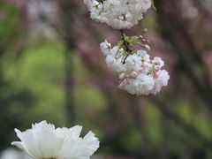 -江南大学(蠡湖校区)