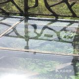 春日图鉴 | 拍照圣地 | 南京高淳国际慢城桠溪