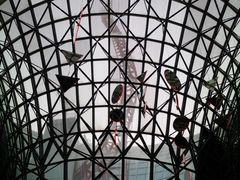 -法拉利主题公园