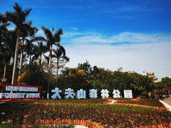 -番禺大夫山森林公园