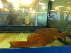 -大螃蟹海鲜餐厅