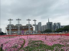 -海心沙亚运公园