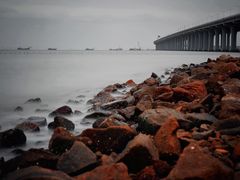 -宝安西湾红树林湿地公园