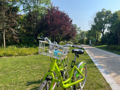 -昆山城市生态森林公园