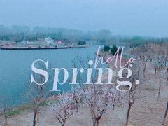 -东郊湿地公园