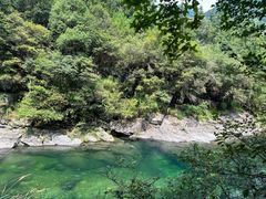 -石台牯牛降景区