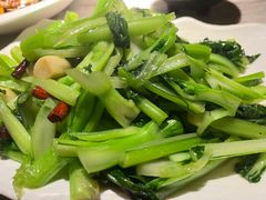 -滇铺子·云南特色菜·第九届野生菌美食节(曲靖万达店)