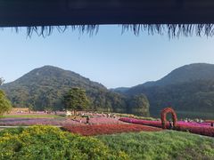 -广州市石门国家森林公园