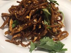 手撕鸡枞菌-文杏酒楼(一品天下店)