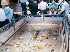 -四季民福烤鸭店(前门廊房二条店)