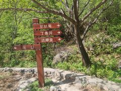 -灵山