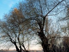 -长春市南湖公园