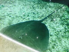 -鸿通城购物中心