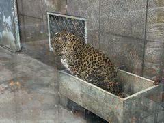 -西安秦岭野生动物园