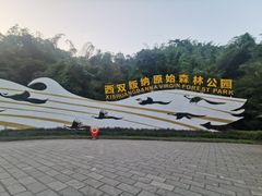 -西双版纳原始森林公园