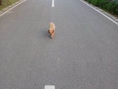 -和先生的砂锅鱼(八方汇店)