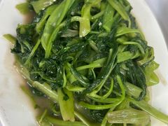 -新陶陶酒家