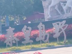 -秦皇岛野生动物园