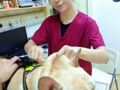 -芭比堂动物医院广州顽皮分院