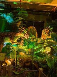 -恐龙探索乐园(磁器口店)