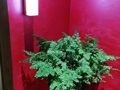 -恬阿姨庭院餐厅·生日宴
