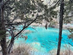 -九寨沟-树正沟