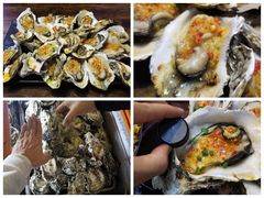 -土蚝·高压锅生蚝(百姓美食街店)