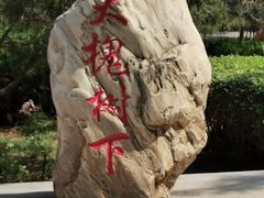 -大槐树寻根祭祖园