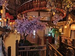 -叶叶菩提(太原别墅店)