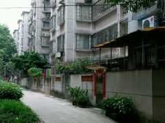 -中山大学学者灵芝(园南路店)