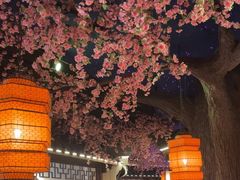 -荷塘秋月·本帮江浙菜(国权路店)