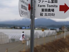 -富田农场