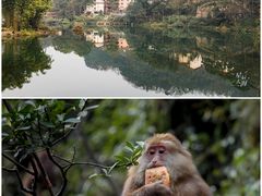-峨眉山风景名胜区