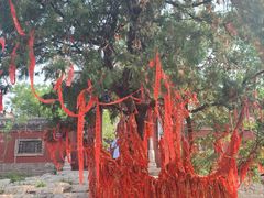 -青州市云门山风景区