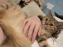 -瑞派康怡24h宠物医院·犬猫医疗中心·微创绝育(瑞景分院)