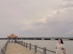 -东郊椰林
