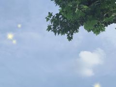 -后襄河公园