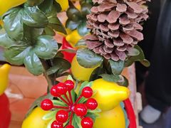 -越秀西湖花市(广州城市广场花卉店)
