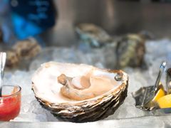 -Oyster Talks 四度蚝法餐厅