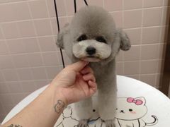 -FAELING PETS美天灵宠物(富力广场店)