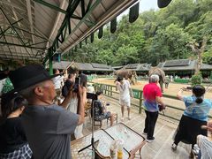 -野象谷景区