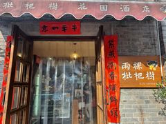 -两棵枇杷树