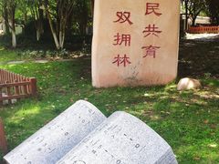 -双拥公园