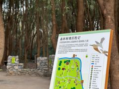 -同里国家湿地公园