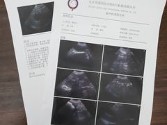 -宠爱国际动物医院·消化内科·心肾内科·ISFM猫友好(望京店)