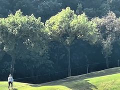 -麓湖高尔夫球俱乐部