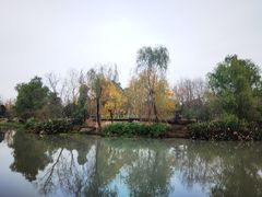 -九科绿洲
