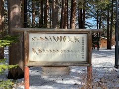 -北海道神宫