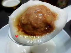 园外园全肉汤团-园外园汤团(城中店)